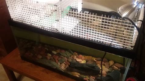 My Turtle Tank Setup And Home Made Above Basking Area YouTube