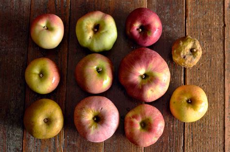 Heirloom Apples Edible Michiana