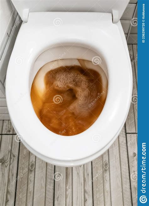 Toilet Bowl That Flushes Out Rusty Dirty Water Close Up Top View