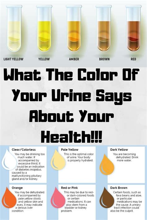 What The Color Of Your Urine Says About The Hidden Problems In You My Xxx Hot Girl