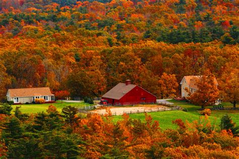 Autumn In The Country Hd Wallpaper Background Image