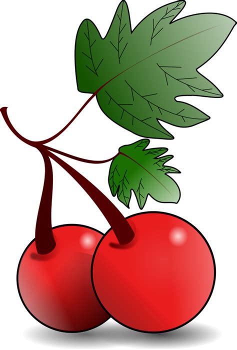 Download High Quality Plant Clipart Fruit Transparent Png Images Art