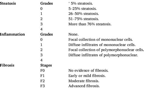 Histological Grading Of Steatosis And Inflammation And Staging Fibrosis