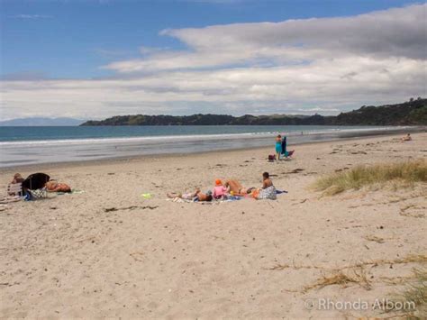 Waiheke Island Beaches Paradise In New Zealand