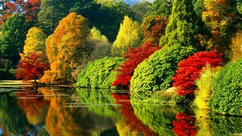 Colorful Autumn Trees With Reflection On River During
