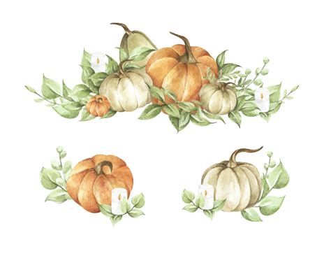 Premium Vector Watercolor Pumpkins Set Autumn Decoration Floral