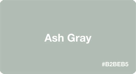 Ash Gray Color Best Practices Color Codes Palettes More