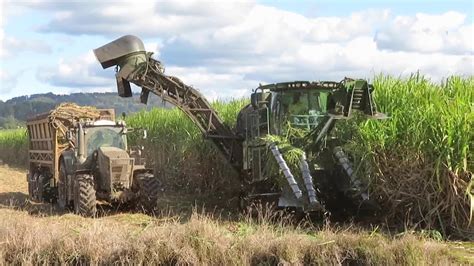 John Deere Ch570 Sugar Cane Harvester Murwillumbah Nsw Youtube