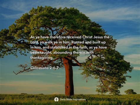 Colossians 26 7 Daily Bible Inspirations