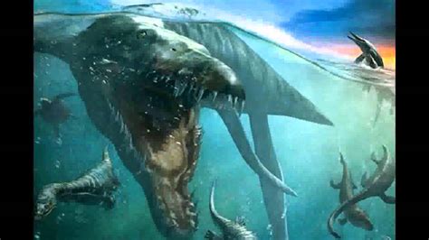 Dangerous Sea Creatures Killers Of The Deep Encyclopedia Series Milgingca