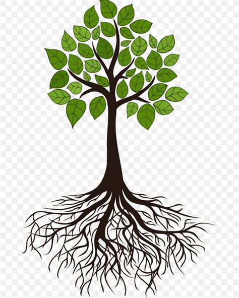 Clip Art Tree Black And White With Roots Png Clipart