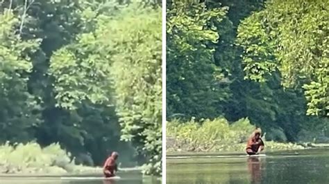 Bigfoot Filmed Crossing Michigan River Carrying Baby Sasquatch