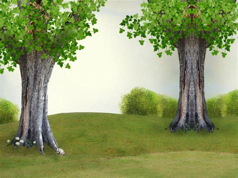Powerpoint Tree Protection Of Nature And The Trees For Clipart