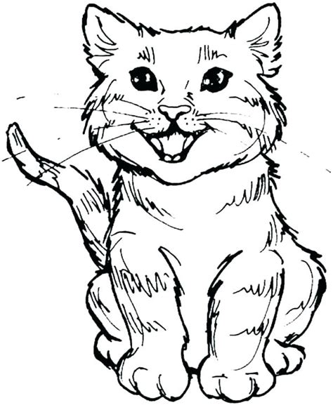 Printable brown spotted tabby bengal cat coloring page. Tabby Cat Coloring Pages at GetColorings.com | Free ...
