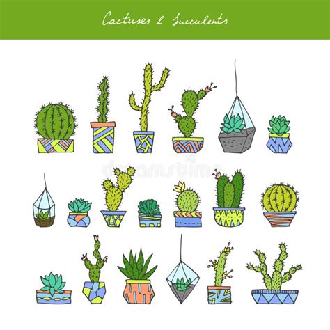 Cactuses Succulents Set Stock Vector Illustration Of Funny 85700383