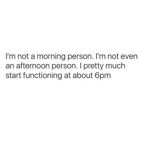 Im Not A Morning Person Im Not Even An Afternoon Person I Pretty Much