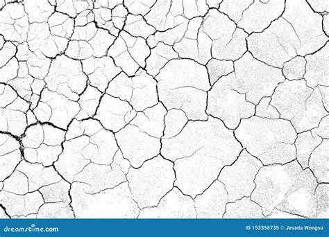 Structure Cracked Soil Ground Earth Texture On White Background Desert