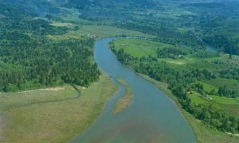 Grays River Fishing Access Maps Alerts