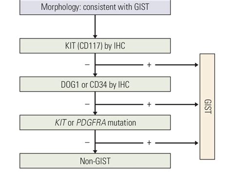 Algorithm For The Diagnosis Of Gastrointestinal Stromal Tumor Gist