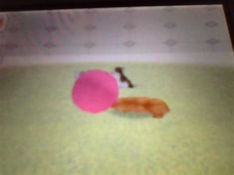 This is the nintendogs' guide. Toys | Nintendogs Wiki | FANDOM powered by Wikia