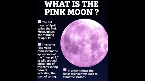 The Pink Moon Amazing Youtube