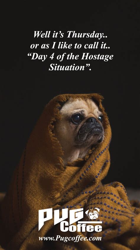 A Pug Wrapped In A Blanket With The Caption Let Us Teach You The Ways