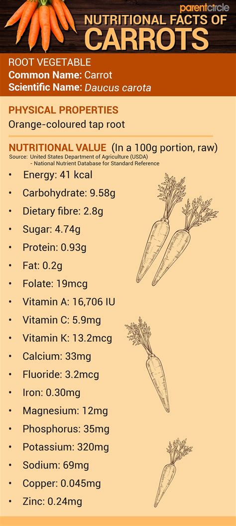 Carrot Nutritional Value Per 100g Carrot Nutrition Facts And Health