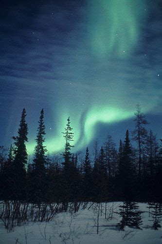Northern Lights In Churchill Manitoba Canada Photo By Travel