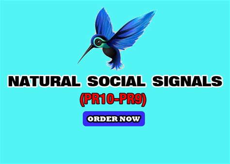 I Will Give You Pr9 Drip Feed Natural Social Signals For 5 Seoclerks