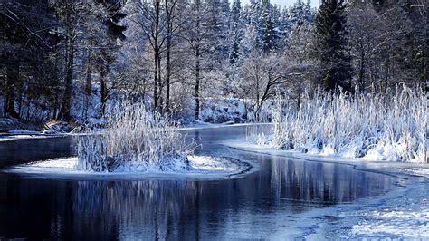 Winter Pictures Wallpapers High Quality Download Free