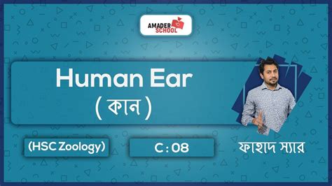 5 Human Ear কান Hsc Zoology Chapter 8 Coordination And Control
