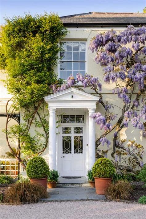 Stay In The Wisteria Covered Rosemoor House Wisteria Trellis Wisteria
