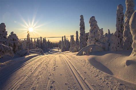 Descubre la fabulosa Finlandia y disfruta por este país nórdico Su