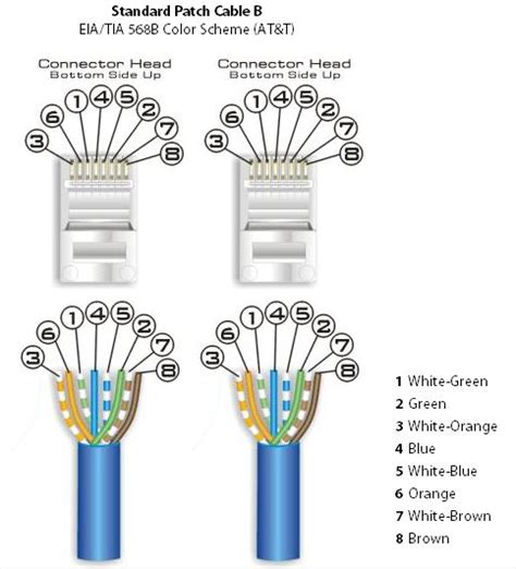 Can You Use Cat 6 Connectors On Cat5e Cable Cat Lovster