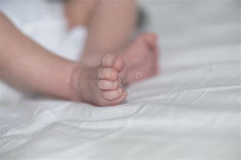 Baby Legs Stock Photo Image Of Care Healthy Feet Beautiful 81218466
