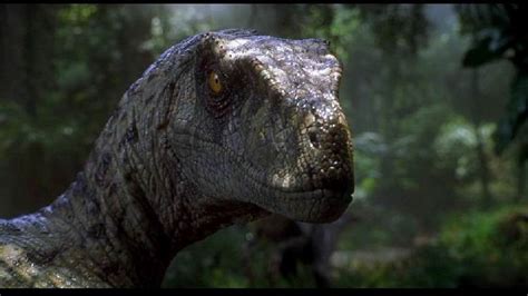 If The Velociraptor From Jurassic Park Were Your Girlfriend The Toast