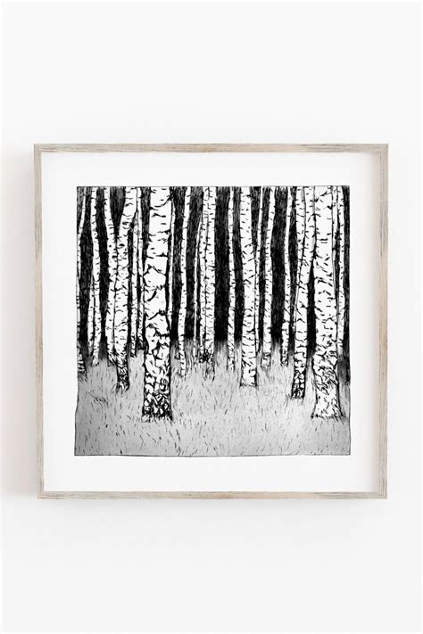 Black And White Birch Tree Artwork In Scandinavian Style By Drawn
