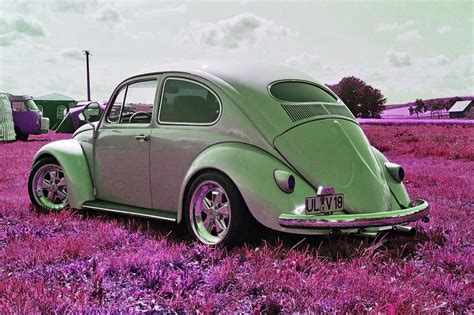 Green Vw Beetle Vw Beetles Volkswagen Beetle Volkswagen