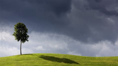 Nature Landscape Trees Shadow Minimalism Clouds Hill Field
