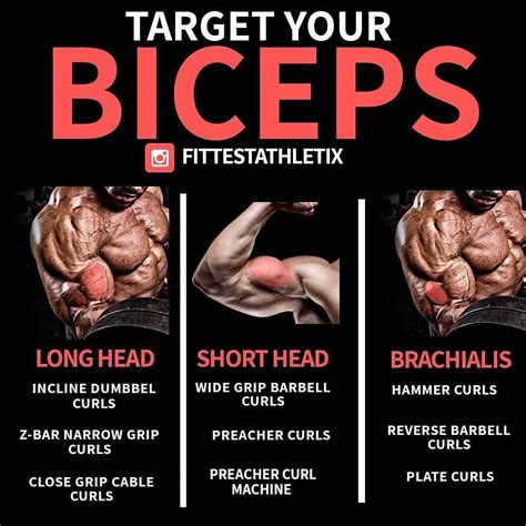 Top Gym Tips On Instagram Two Headed Biceps By Fittestathletix
