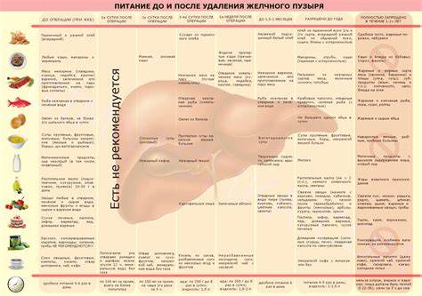 Заболевания желчного пузыря диета 5 Какая диета при удалении желчного пузыря: Лапароскопическая Какая диета при удалении желчного пузыря: Лапароскопическая Заболевания желчного пузыря диета 5