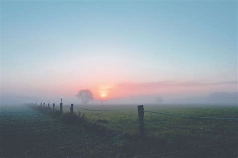 Countryside Dawn Dusk Fence Fog Foggy Landscape Mist Outdoors