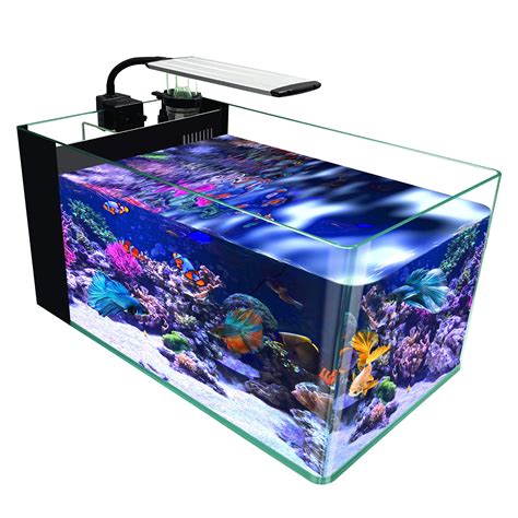 Buy Gankpike 10 Gallon Curved Corner Saltwater Aquarium Rimless Low