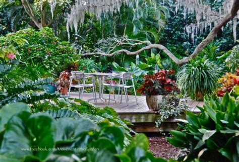 A Subtropical Garden In Sarasota Finegardening