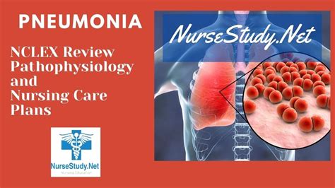 Pneumonia Nursing Care Plan Tutorial Nclex Review Youtube