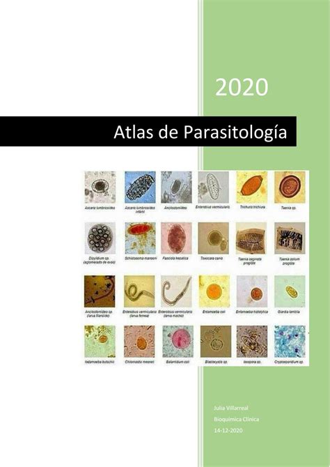 Atlas Ilustrado De Parasitologia Parasitologia Vrogue Co