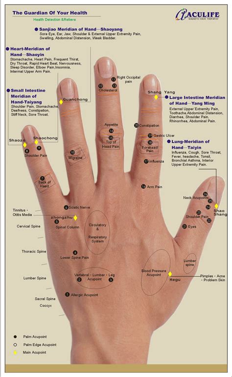 Reflexology Hand Chart Tips And Guidelines For Hand Reflexology Charts