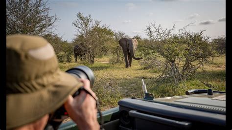 Learn To Become A Wildlife Photographer In South Africa African