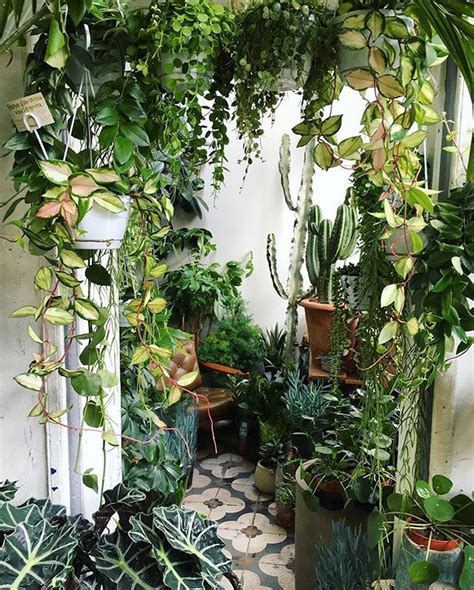 Beautiful Indoor Jungle Ideas 70 Goodsgn Jungle Decorations Indoor