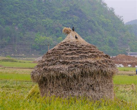 village-yan-yu-of-the-buyi-tribe-china,-southwest-china,-g-flickr